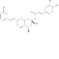 1,5-二咖啡酰奎宁酸30964-13-7包装