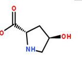 L-羟脯氨酸51-35-4价格