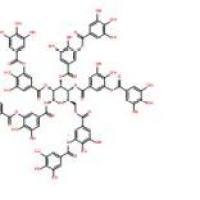 单宁酸1401-55-4厂家