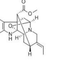 鸭脚树叶碱4684-32-6厂家