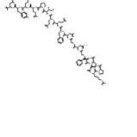比伐卢定128270-60-0厂家