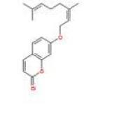 橙皮油内酯495-02-3折扣