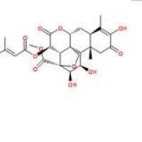 鸦胆亭41451-75-6折扣