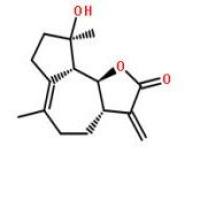 木香内酯68370-47-8价格