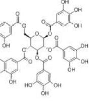 1,2,3,4,6-五没食子酰葡萄糖14937-32-7包装