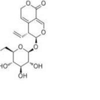 龙胆苦苷20831-76-9价格