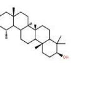 蒲公英甾醇1059-14-9包装
