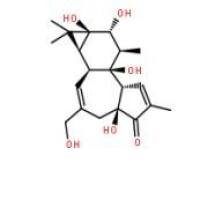 4alpha-佛波醇26241-63-4折扣