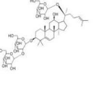 5,6-脱氢人参皂苷Rd1268459-68-2厂家