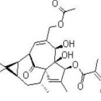 巨大戟醇-3-O-当归酸-20-乙酸酯82425-35-2价格