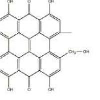 伪金丝桃素55954-61-5价格