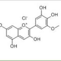 矮牵牛素PT1429-30-7折扣