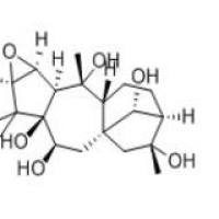 闹羊花毒素III26342-66-5包装