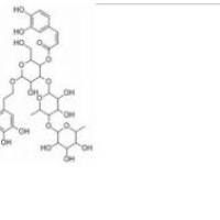 紫茎女贞苷A147396-01-8价格