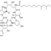 纽莫康定 B0135575-42-7折扣