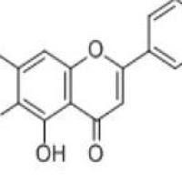 黄芩素491-67-8包装