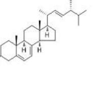 麦角甾醇57-87-4价格