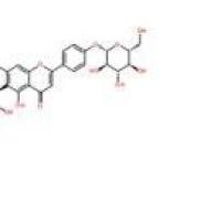 异肥皂草苷19416-87-6价格