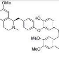 蝙蝠葛碱524-17-4包装