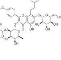 朝藿定B110623-73-9厂家