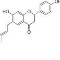 补骨脂甲素19879-32-4折扣