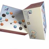 Human HMGB-1(High mobility group protein B1) ELISA Kit