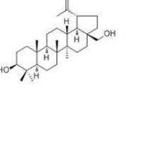 白桦脂醇473-98-3价格
