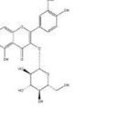 异鼠李素-3-O-葡萄糖苷5041-82-7折扣