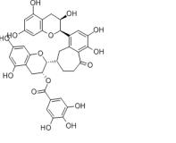 茶黄素-3'-没食子酸酯28543-07-9价格