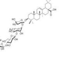白头翁皂苷E2包装