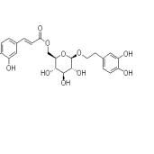 木通苯乙醇苷B105471-98-5价格