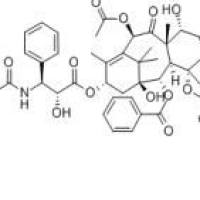 7-表紫杉醇105454-04-4价格