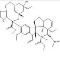 长春新碱57-22-7价格