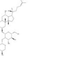 三七皂苷R2(S型)80418-25-3厂家