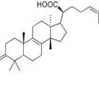 β-榄香酮酸28282-25-9价格