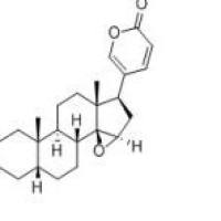 酯蟾毒配基、蟾力苏465-39-4厂家