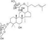越南参皂苷R4156009-80-2折扣
