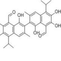 棉酚303-45-7厂家