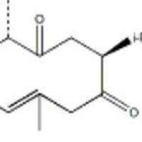 莪术二酮13657-68-6折扣