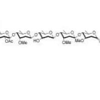 杠柳寡糖B1095261-93-0厂家