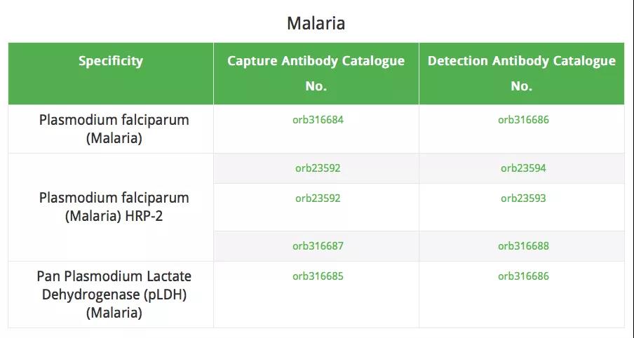 热门推出：biorbyt蚊媒病毒研究的配对抗体！
