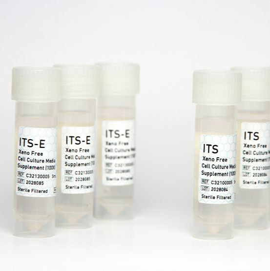 ITS和ITS-E細胞培養添加物