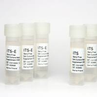 ITS和ITS-E细胞培养添加物
