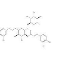 连翘酯苷A79916-77-1折扣