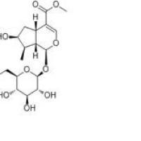 马钱苷18524-94-2包装