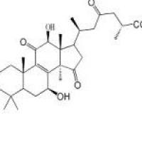 灵芝酸G98665-22-6折扣