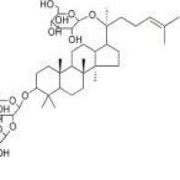 越南参皂苷R3156012-92-9折扣