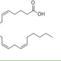 花生四烯酸506-32-1厂家