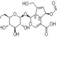 6-O-乙酰鸡屎藤次苷118292-15-2价格