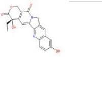 羟基喜树碱19685-09-7厂家